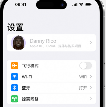 大武口appleID维修服务iPhone设置中Apple ID显示为灰色无法使用