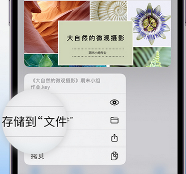 大武口apple维修中心分享iPhone文件应用中存储和找到下载文件