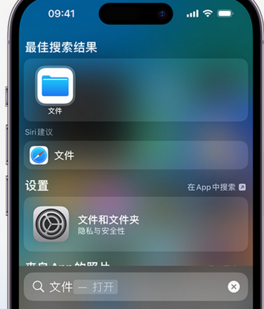 大武口apple维修中心分享iPhone文件应用中存储和找到下载文件