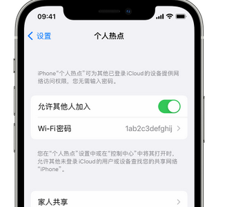 大武口apple服务站点分享iPhone上个人热点丢失了怎么办 