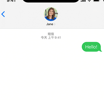 大武口apple维修iPhone上无法正常发送iMessage信息