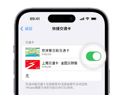 大武口apple维修点分享iPhone上更换Apple Pay快捷交通卡手绘卡面 