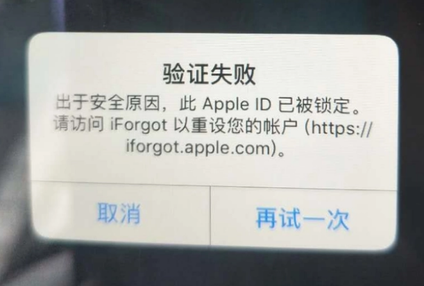 大武口iPhone维修分享iPhone上正常登录或使用AppleID怎么办 