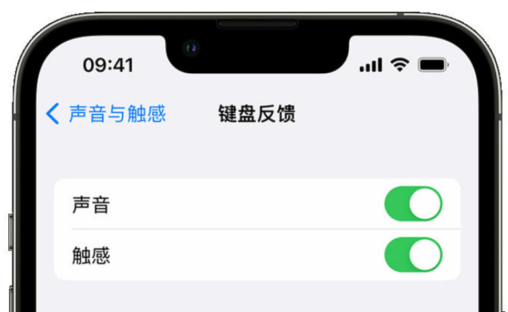 大武口苹果手机维修分享iPhone 14触感键盘使用方法 