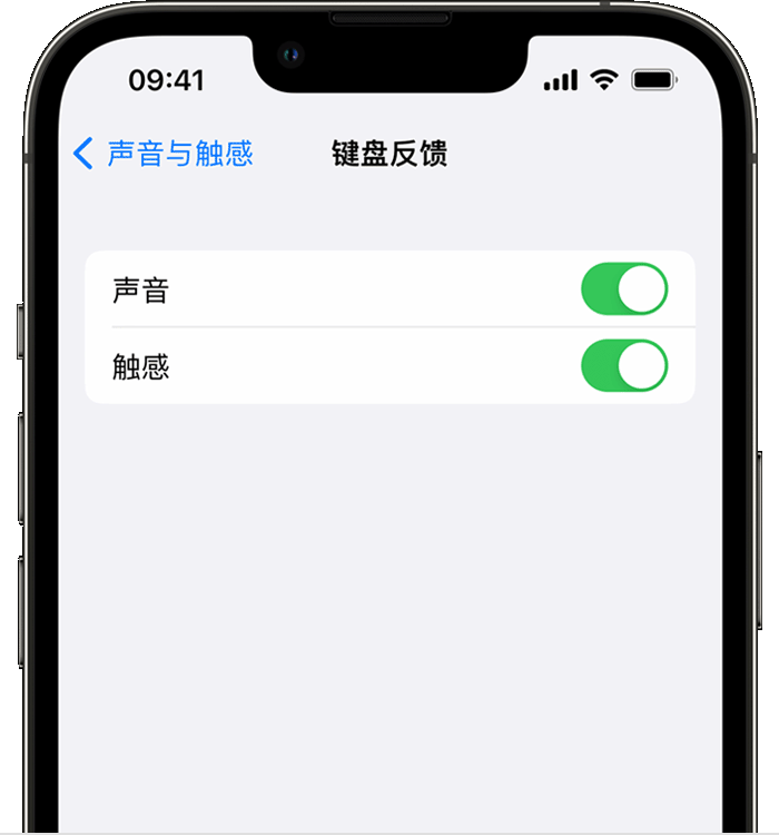 大武口苹果14维修店分享如何在 iPhone 14 机型中使用触感键盘 