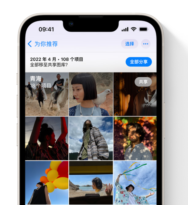 大武口苹果维修网点分享在 iPhone 上使用共享图库 