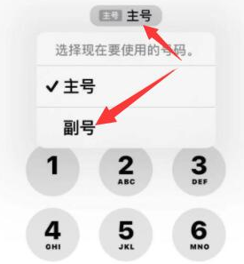 大武口苹果14维修店分享iPhone 14 Pro Max使用副卡打电话的方法 