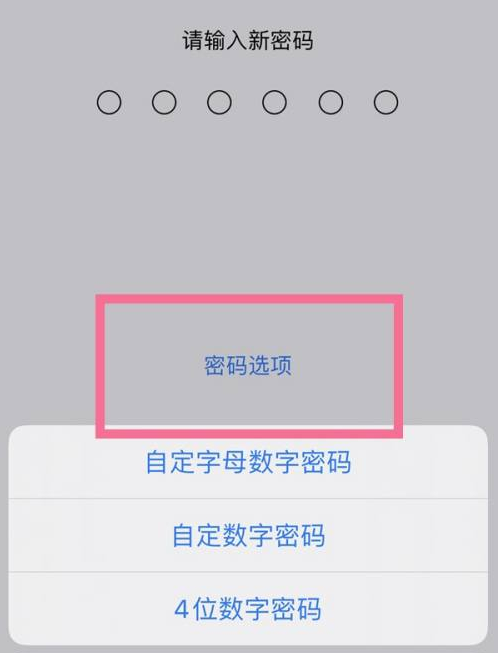 大武口苹果14维修分享iPhone 14plus设置密码的方法 