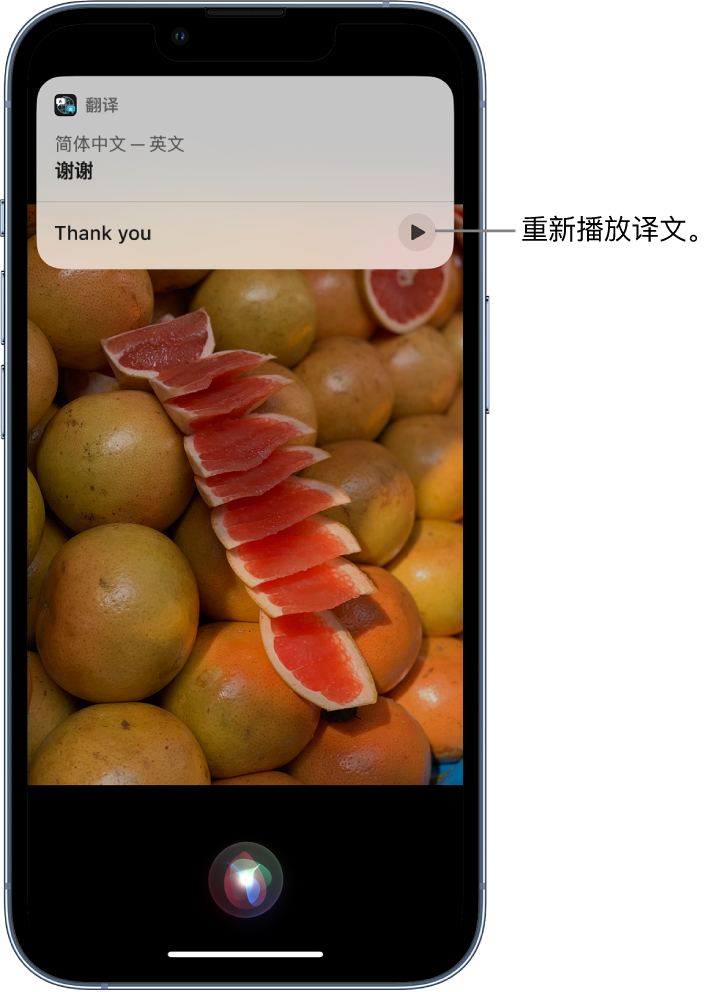 大武口苹果14维修分享 iPhone 14 机型中使用 Siri：了解 Siri 能帮你做什么 