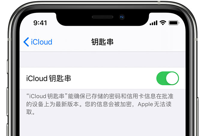 大武口苹果手机维修分享在 iPhone 上开启 iCloud 钥匙串之后会储存哪些信息 