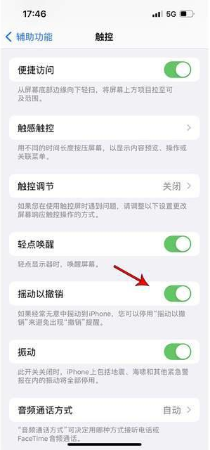 大武口苹果手机维修分享iPhone手机如何设置摇一摇删除文字 